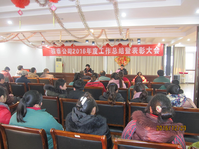 雅泰公司2016年度工作总结暨表彰大会